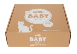 Baby-Box 0 - 3 Monate „Wahrnehmen & Ankommen“