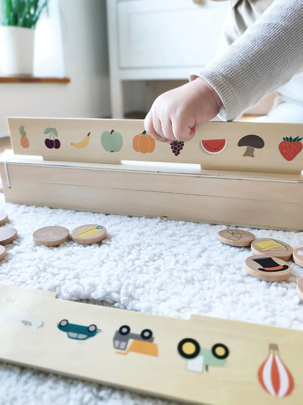 Bildersortierbox Weltentdecker