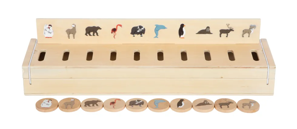 Bildersortierbox Weltentdecker