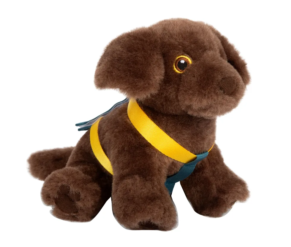 Hund mit Tasche und Pflege-Set