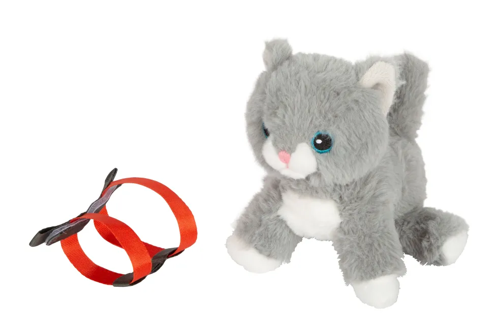 Katze mit Tasche und Pflege-Set