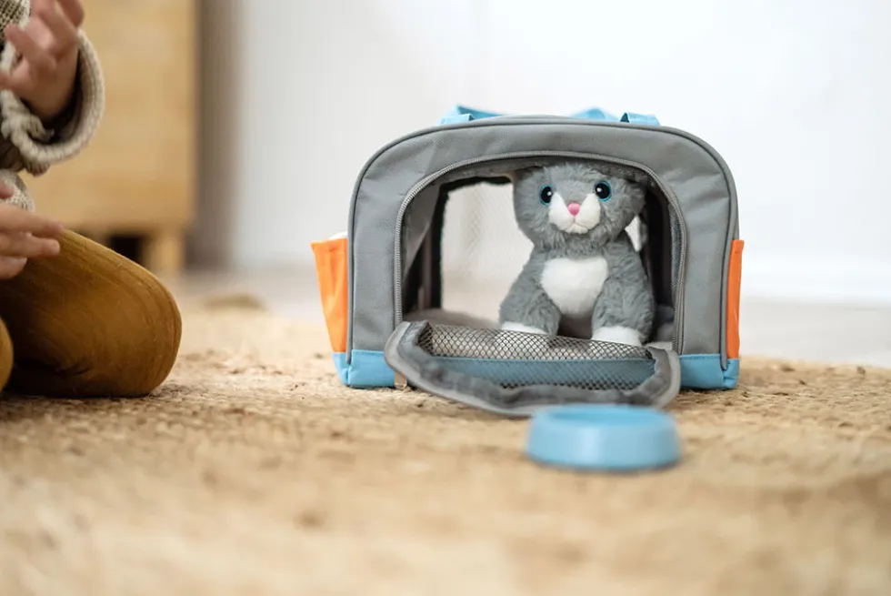 Katze mit Tasche und Pflege-Set