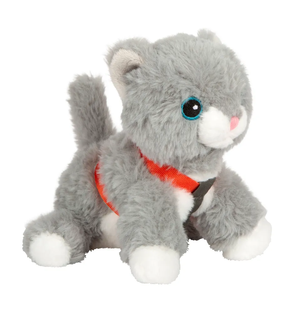 Katze mit Tasche und Pflege-Set