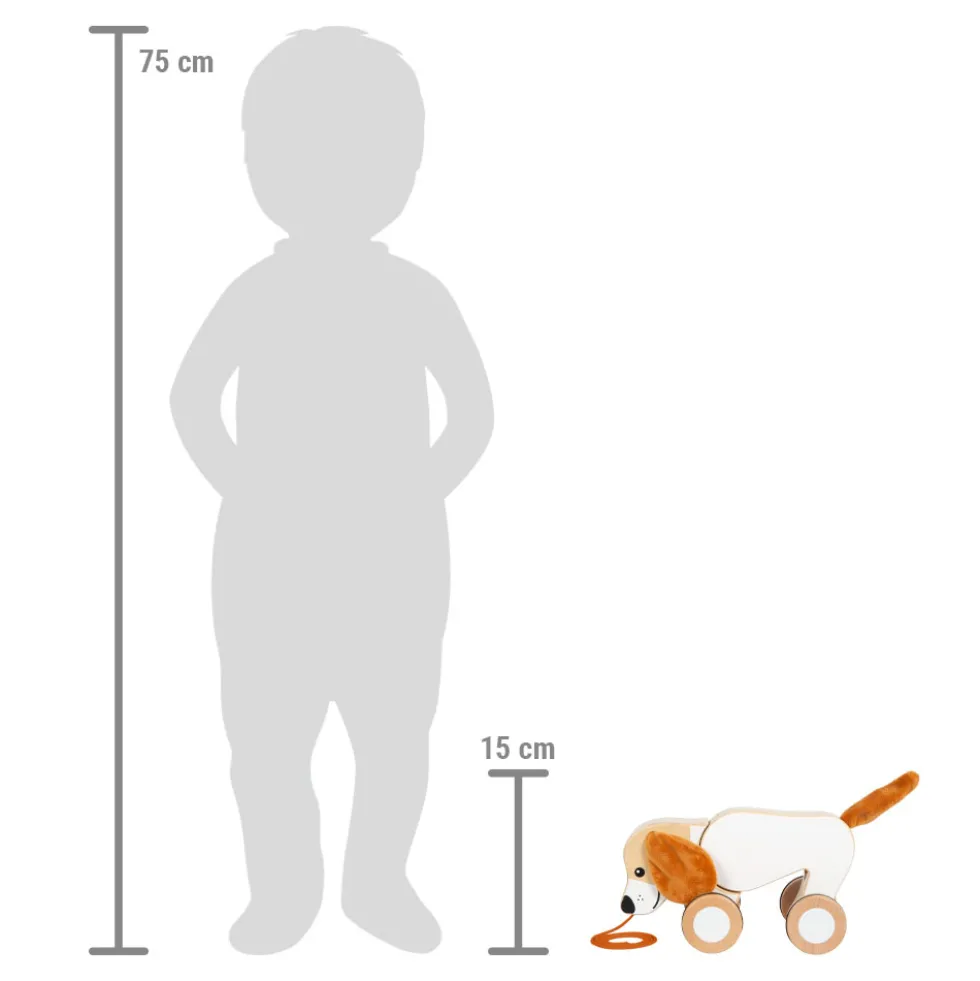 Nachziehtier Hund mit Knisterohren