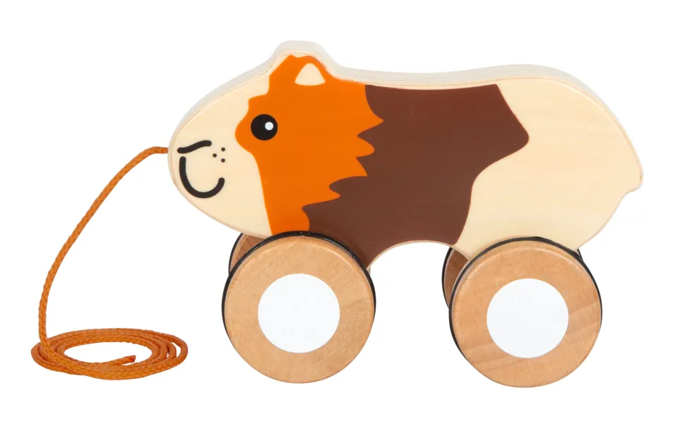 Nachziehtier Meerschweinchen