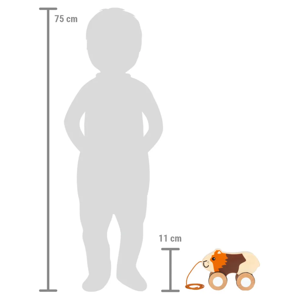Nachziehtier Meerschweinchen