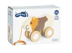Nachziehtier Meerschweinchen