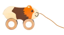 Nachziehtier Meerschweinchen