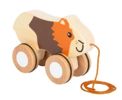 Nachziehtier Meerschweinchen