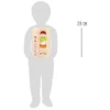 Schichtenpuzzle Anatomie Junge