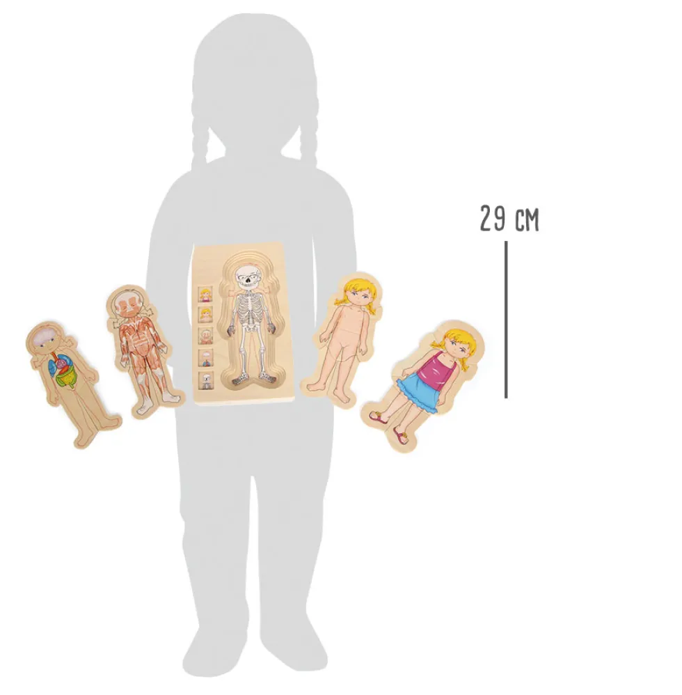 Schichtenpuzzle Anatomie Mädchen