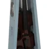 Violine Klassik